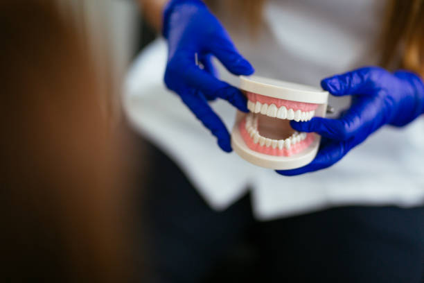 Best Dental Fillings (Composite and Amalgam)  in Boaz, WV